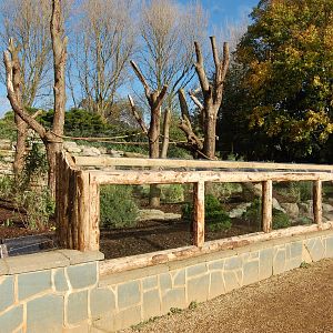 Coati and Bush Dog Exhibit