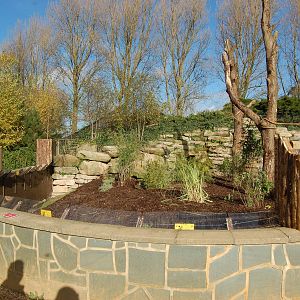 Coati and Bush Dog Exhibit