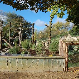 Coati and Bush Dog Exhibit