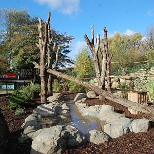 Coati and Bush Dog Exhibit