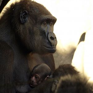 Ali and her newborn baby.