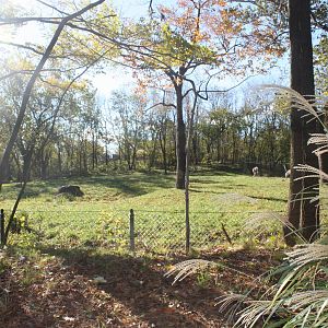 African Plains- Ostrich Exhibit