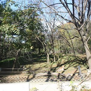 African Plains- Spotted Hyena Exhibit