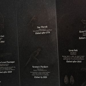 World of Birds- Extinct Birds