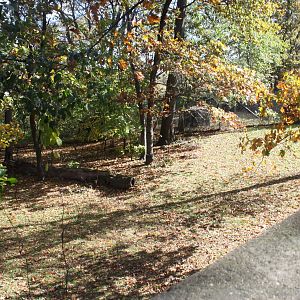 World of Birds- White-Naped Crane Yard