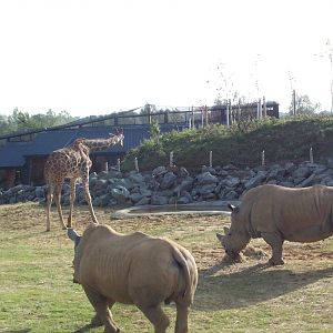 edge of Africa paddock