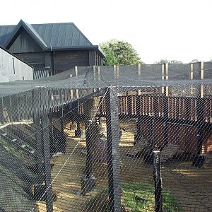 European wading bird aviary