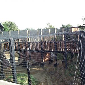 another view of aviary