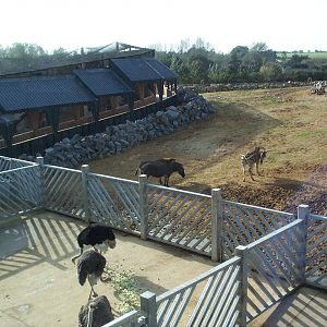 view from gallery edge of Africa