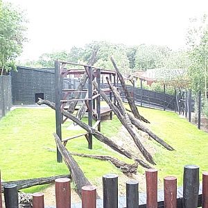 gelada baboons enclosure