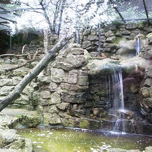 old bear enclosure holding gelada baboons
