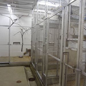 Off-exhibit holding for Elephant Crossing Aviary