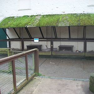 Sewerby Zoo, goodbye to the zoo yard 4th November 2012