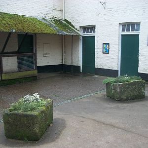 Sewerby Zoo, goodbye to the zoo yard 4th November 2012