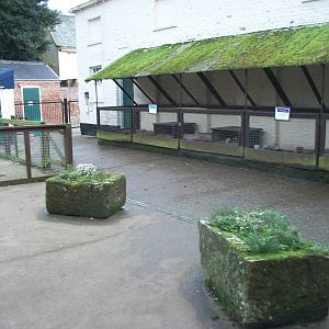 Sewerby Zoo, goodbye to the zoo yard 4th November 2012