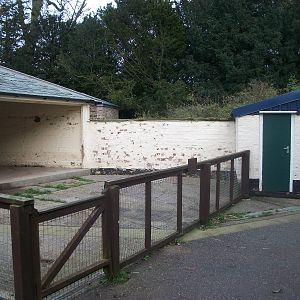 Sewerby Zoo, goodbye to the zoo yard 4th November 2012