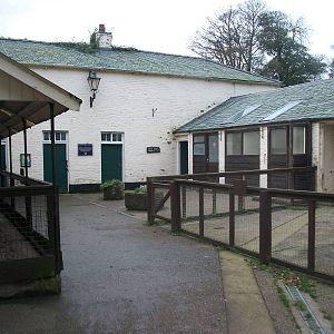 Sewerby Zoo, goodbye to the zoo yard 4th November 2012