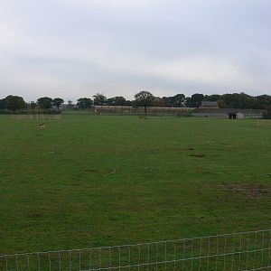 African Plains at Yorkshire WP 01/11/12