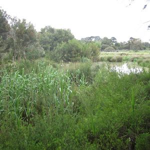 View from the Bird Hide
