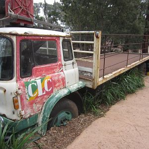 Unusual gorilla viewing