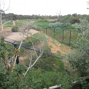 Back of Lion enclosure
