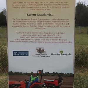 Signage - native grass research