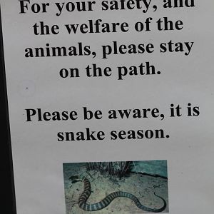 Signage - snakes