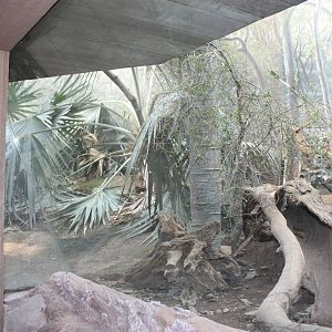 Madasgascar!- Lemur/Mongoose Exhibits