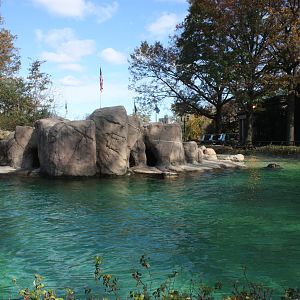 Astor Court- California Sea Lion Pool