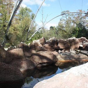 Russell B. Atiken Seabird Colony