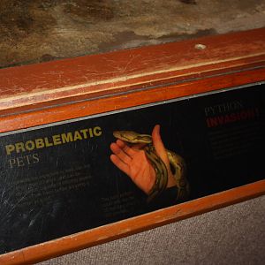 World of Reptiles- Burmese Python Signage
