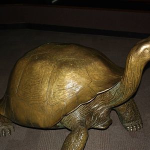 World of Reptiles- Giant Tortoise Statue