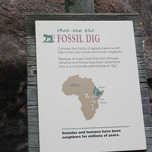 Baboon Reserve- Fossil Dig