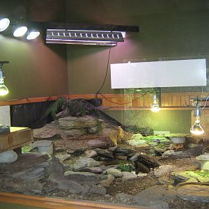 enclosure for juvenile tuatara (Sphenodon punctatus)