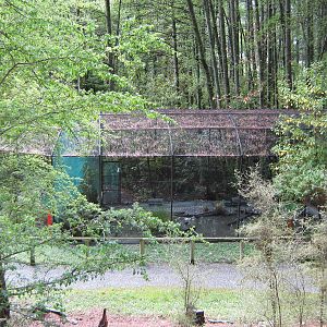 aviary for black stilts (Himantopus novaezelandiae)