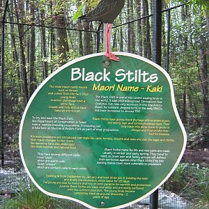 signage for black stilts (Himantopus novaezelandiae)
