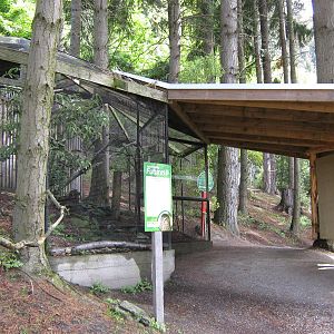 aviary for morepork (Ninox novaeseelandiae)