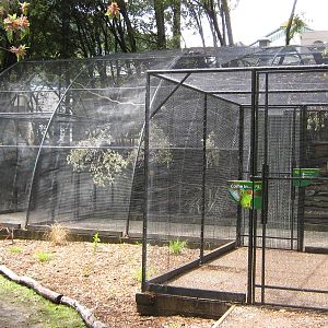 walk-through aviary