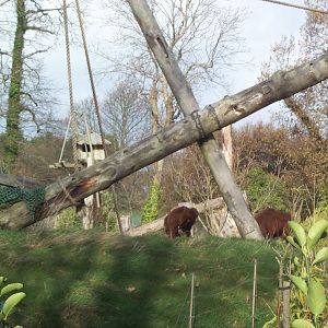 Nov 2000 orang island