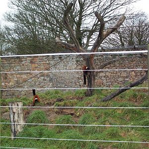 another wider view Nov 2000