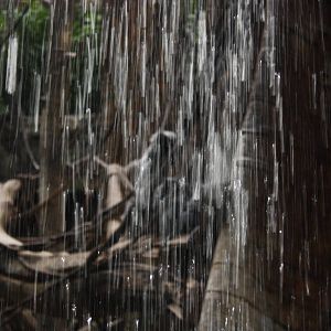 JungleWorld- Monkeys Through The Waterfall