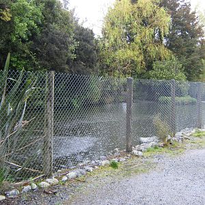 waterfowl enclosure