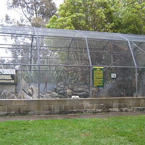 aviary for kea (Nestor notabilis)