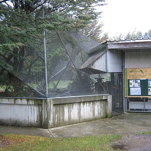 aviary for Antipodes Island parakeet (Cyanoramphus unicolor)
