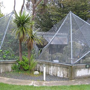 aviaries