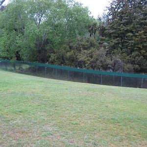 enclosure for takahe (Porphyrio hochstetteri)