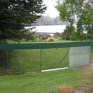 enclosure for takahe (Porphyrio hochstetteri)