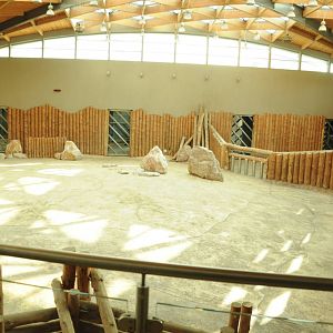 Inside elephant enclosure