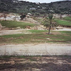 1993 San Diego Wild Animal Park