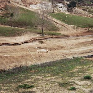 1993 San Diego Wild Animal Park
